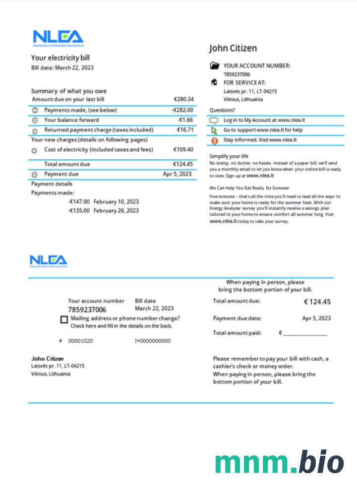 Litwa National Lithuanian Energy Association rachunek za media Word i PDF template